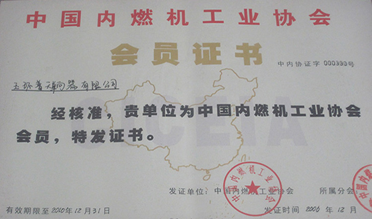 2006年中国内燃机会员证书